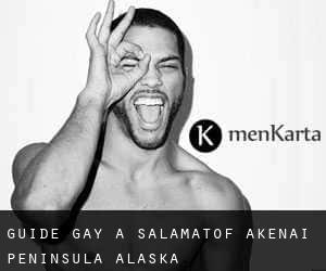 guide gay à Salamatof (AKenai Peninsula, Alaska)