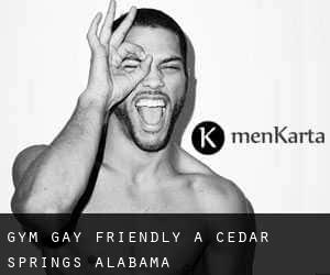 Gym Gay Friendly à Cedar Springs (Alabama)
