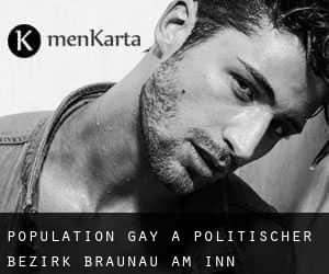 Population Gay à Politischer Bezirk Braunau am Inn
