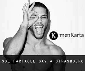 Sol partagée Gay à Strasbourg Sol partagée Gay à Strasbourg