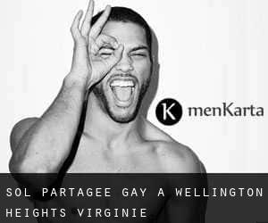 Sol partagée Gay à Wellington Heights (Virginie)