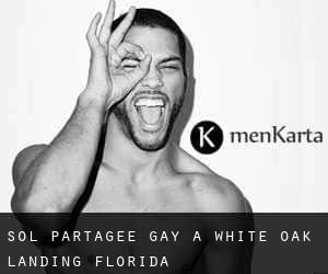 Sol partagée Gay à White Oak Landing (Florida)