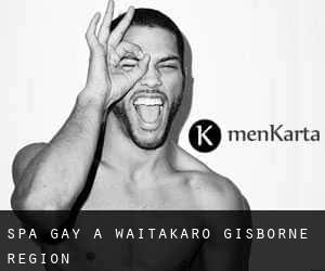 Spa Gay à Waitakaro (Gisborne Region)