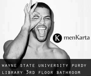 Wayne State University Purdy Library 3rd Floor Bathroom (Détroit)